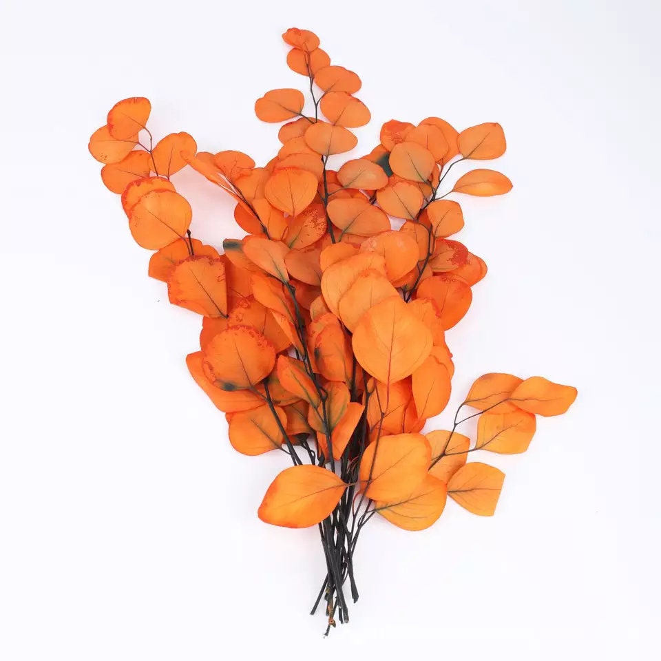 Preserved Eucalytus populus autumne gradient orange color 100-120g/bunch, preserved leaf, preserved foliage