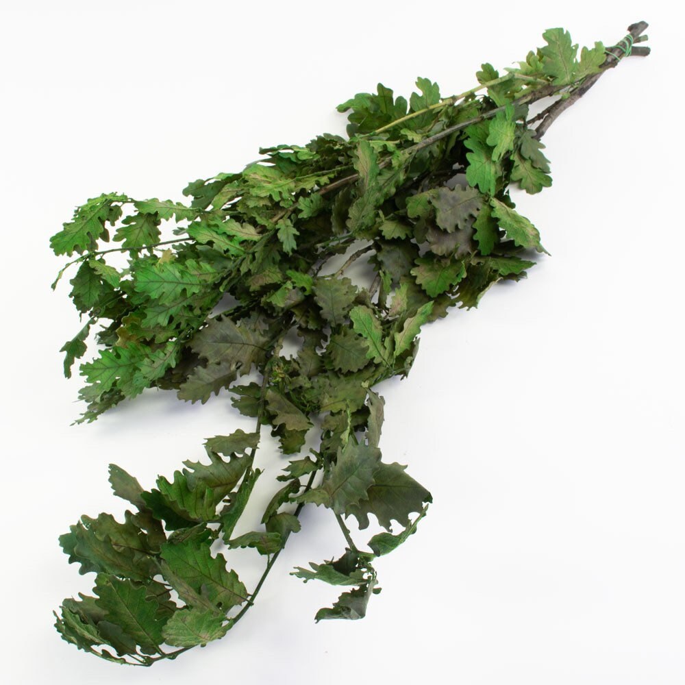 Preserved Oak leave green, Chêne stabilisé, preserved foliage wall decoration DYI wreath tool, 120-140g/bunch