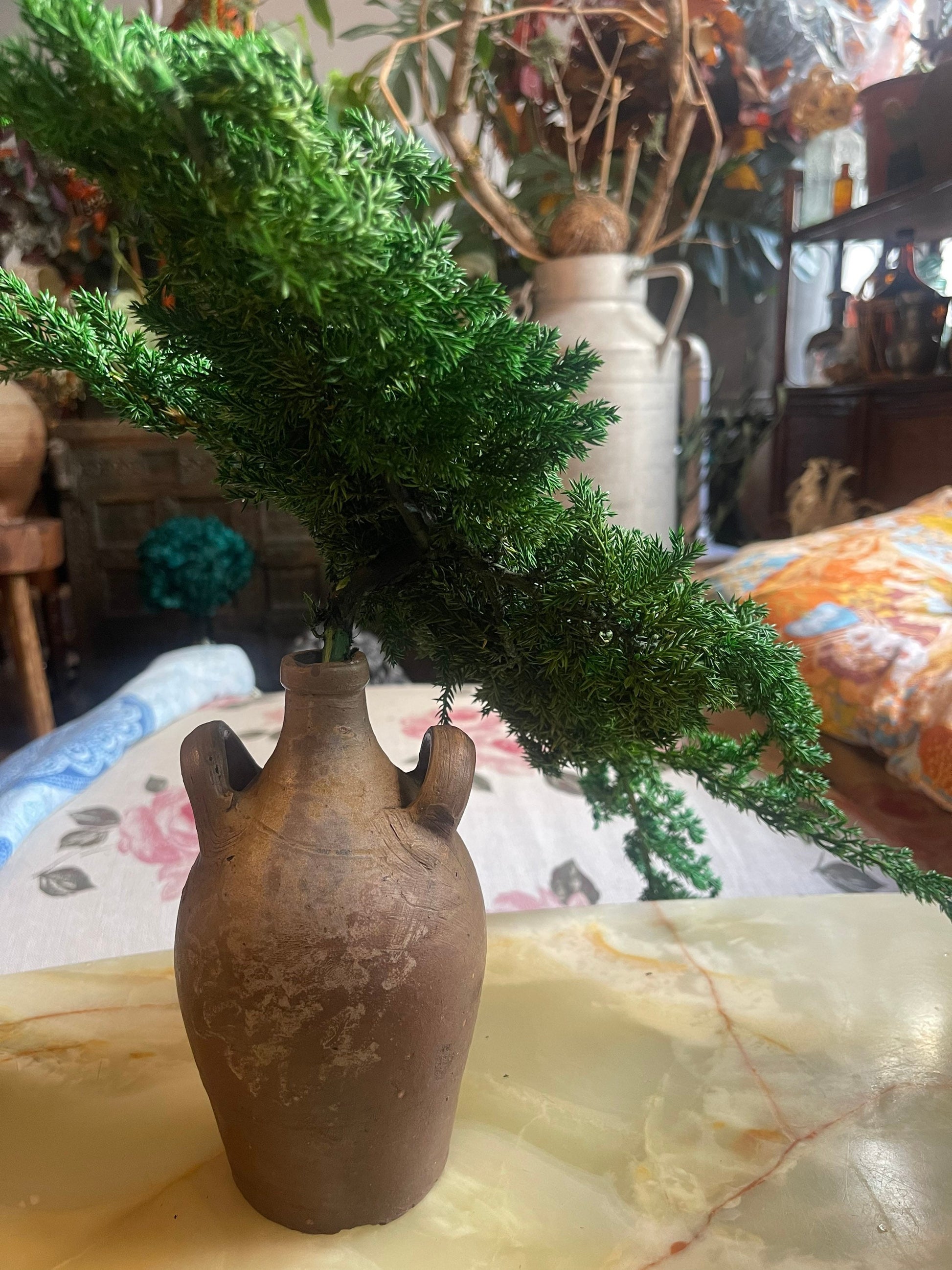 Preserved green natural color junifer bonsai, junifer kokedama preserved leave 200g per bunch
