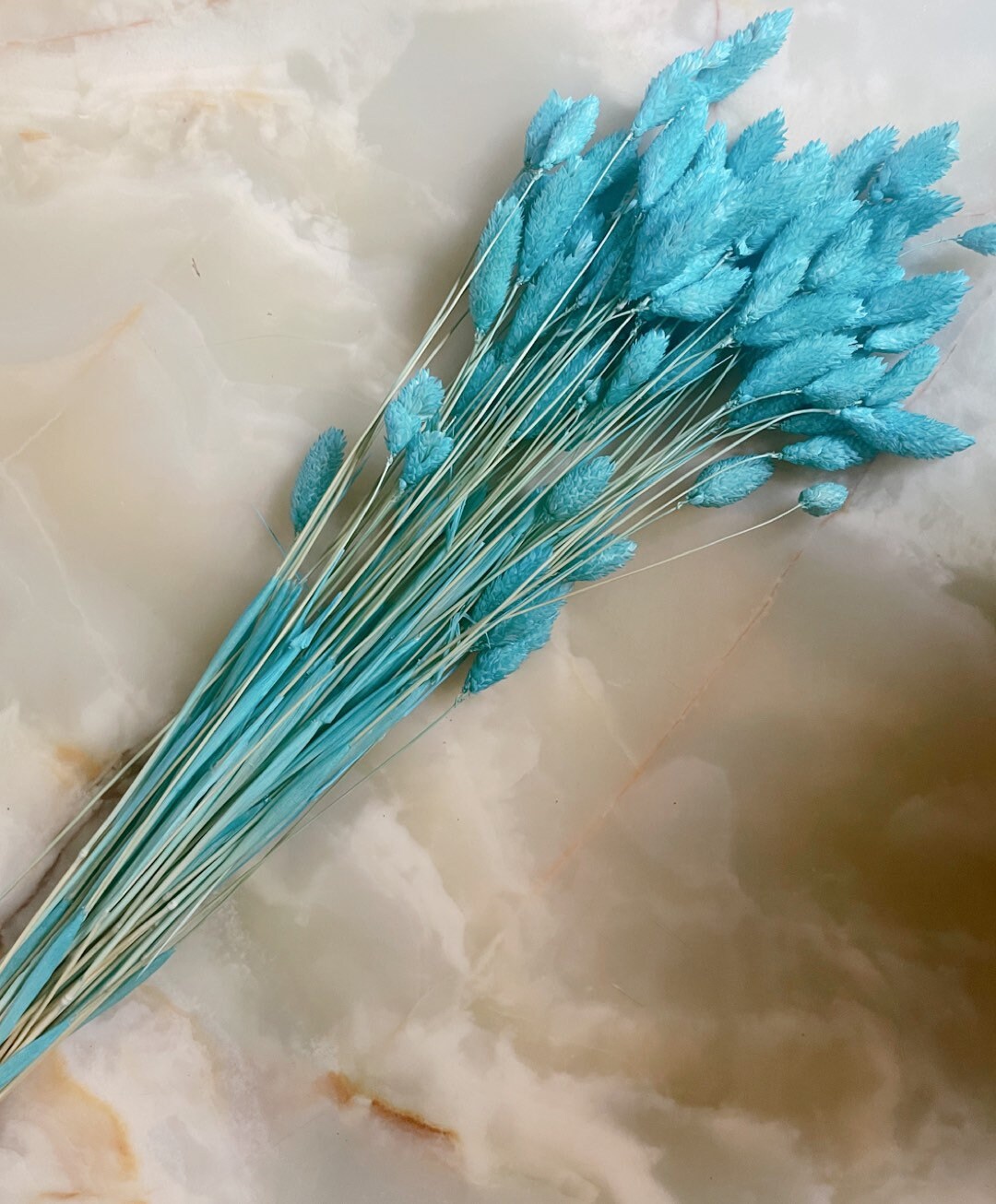 Dried phalaris tiffany blue 100g per bunch, home decoration