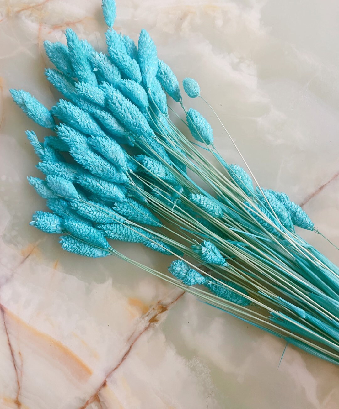 Dried phalaris tiffany blue 100g per bunch, home decoration