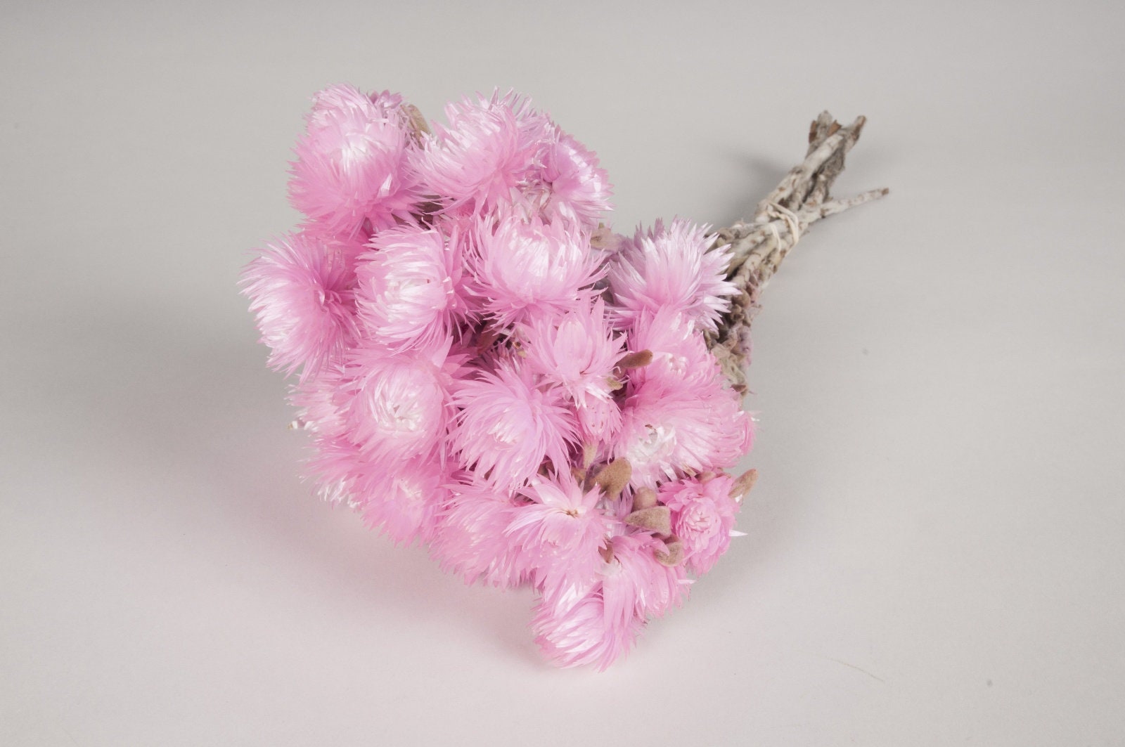 Helichrysum Vestitum capblumen baby pink color, 3oz bunch, rustic decoration