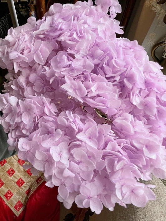 Big size 20-22cm preserved Pink gradient hydrangea, hortensia violet glycine, DYI decoration, wedding