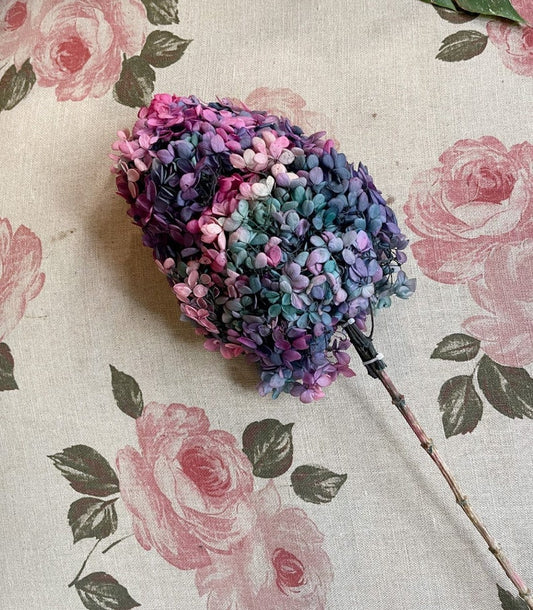 Preserved hydrangea mix gradient D18-20cm, hortensia, decoration de mariage, Resin, handcraft