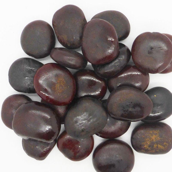 x 6 Large Brown Seed Pangra Beans - Natural Bean - artist bean - Decoration seed