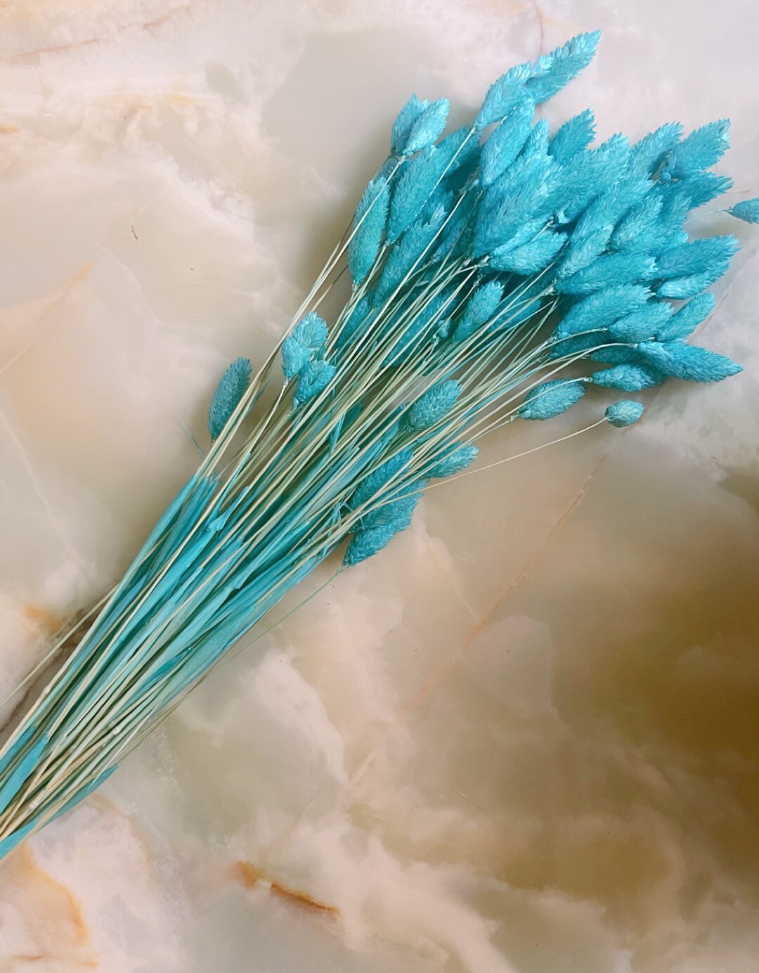 Dried phalaris tiffany blue 100g per bunch, home decoration