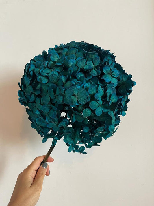 Peacock dark blue preserved hydrangea big petal, DIY bijoux, Hortensia, Resin, handcraft, home decoration