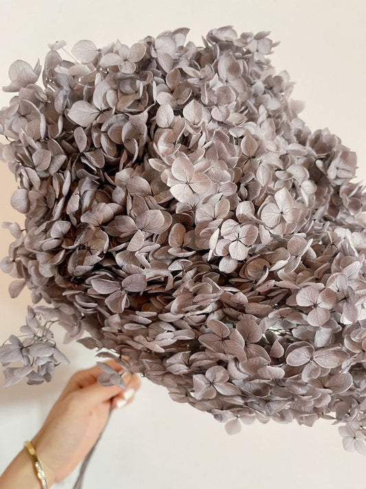 Preserved hydrangea glacier grey gradient D20cmDYI decoration, wedding, Resin, handcraft