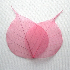 Pink Skeleton Bodhi leaf for Card Scrapbooking DIY Craft Embellishment