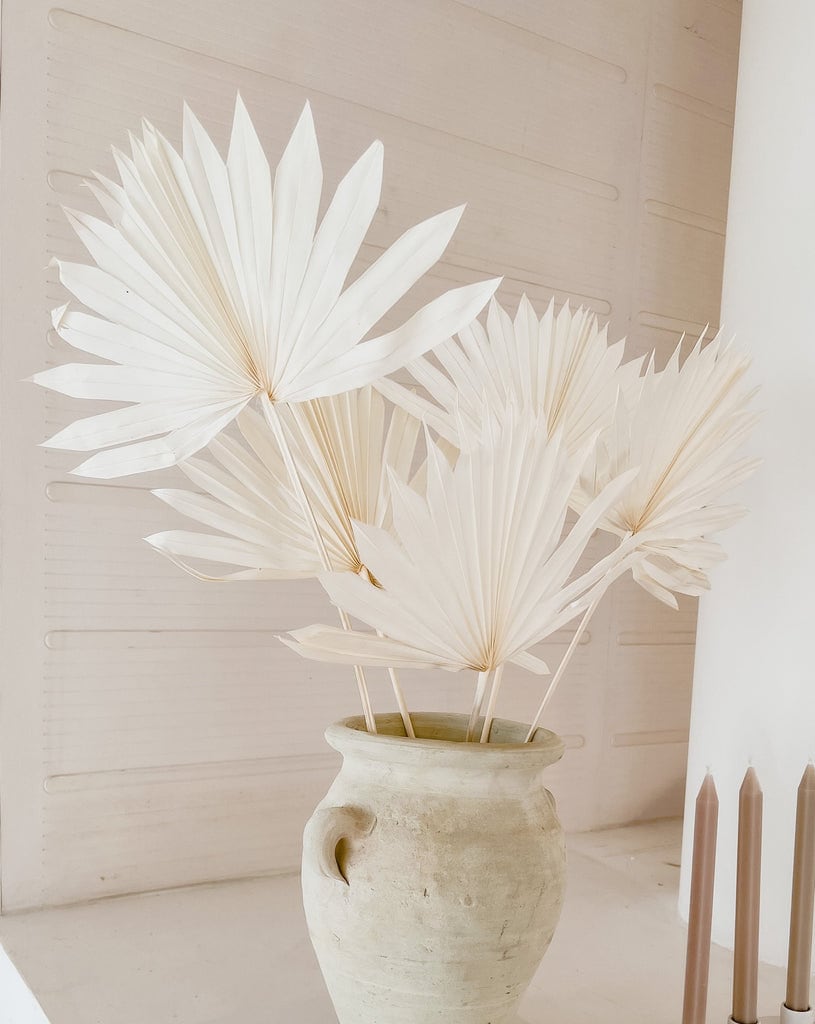 x6 branches Dried sun palm leave bleached, white sun palm, rustic decoration
