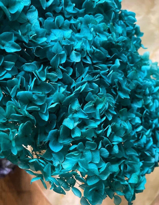 Big size Preserved hydrangea tiffany blue Dimension 28cm, hortensia, fleurs stabilisé