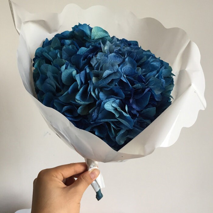 Big petal preserved hydrangea Blue color, Diy resin, jewelery, home decoration