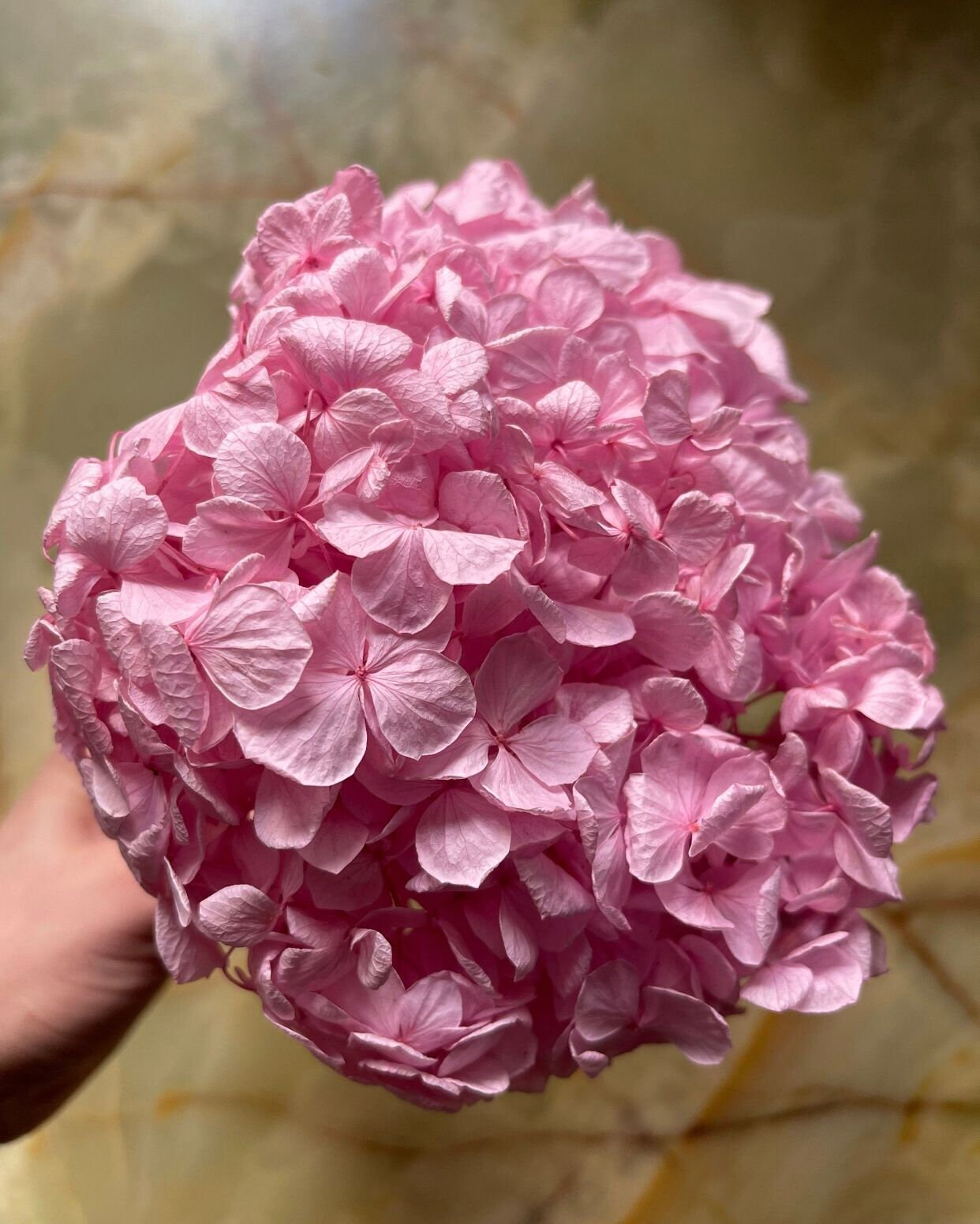 Sakura pink big petal preserved hydrangea, DIY jewelry, home decoration