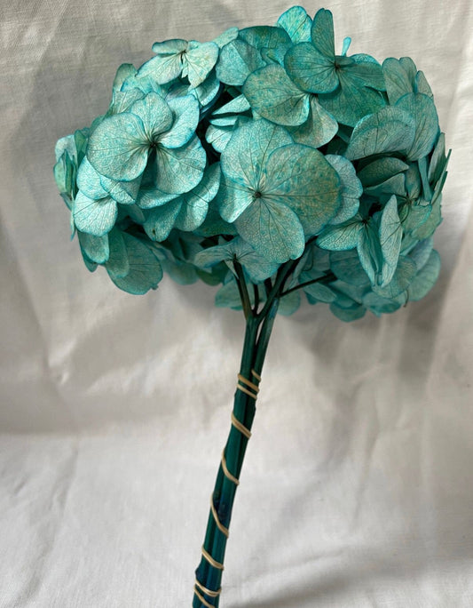 Big petal preserved hydrangea Tiffany blue color, Diy resin, jewelery, home decoration