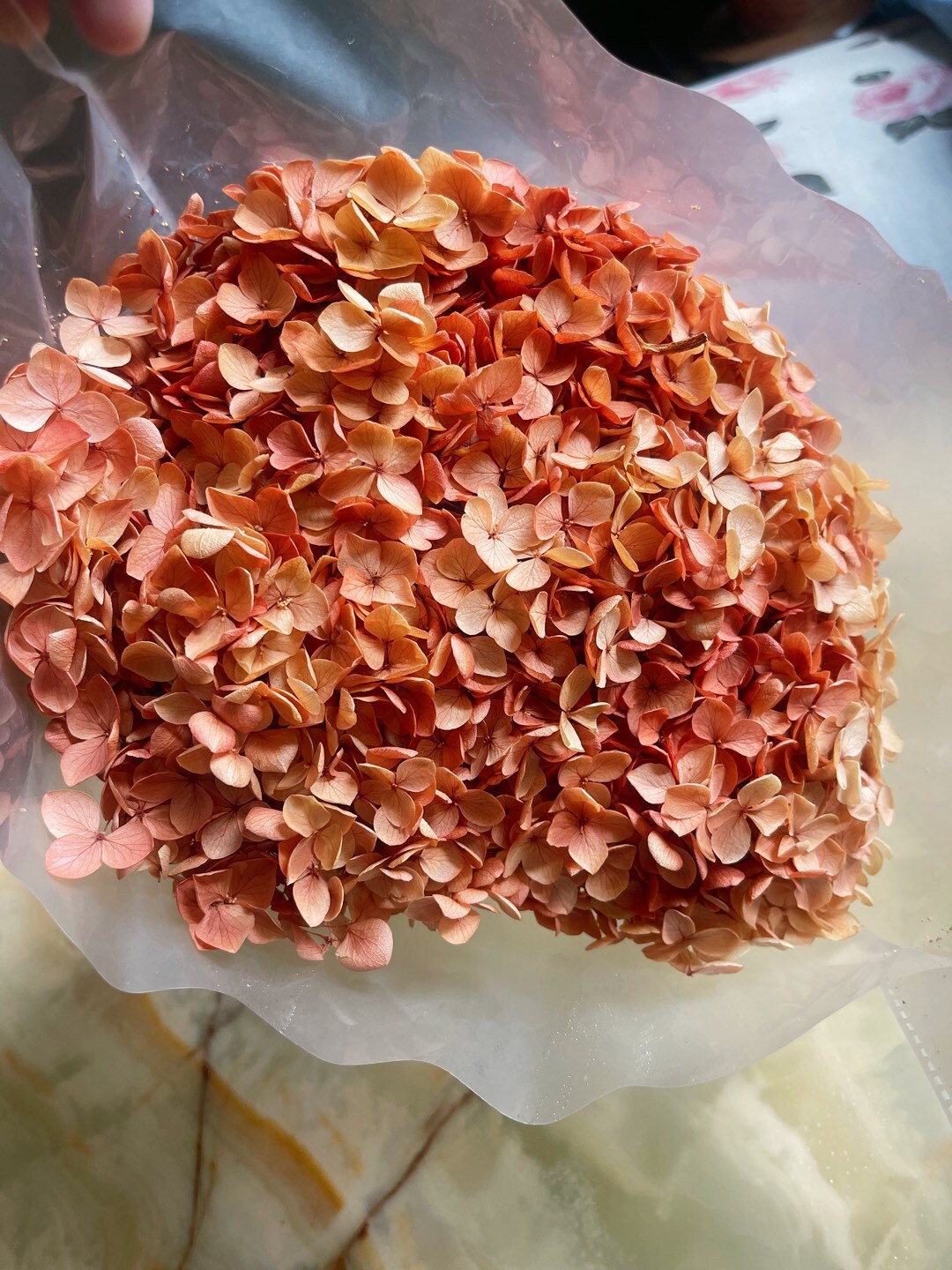 Preserved hydrangea big size 20cm diameter retro Sunset gradient Orange mix yellow color