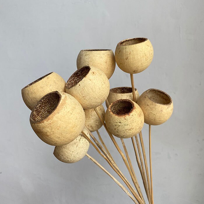 x6 Bell cup natural ivory bunch on stalk naturel bunch to decoration, handmade tool