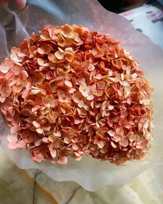 Preserved hydrangea big size 20cm diameter retro Sunset gradient Orange mix yellow color