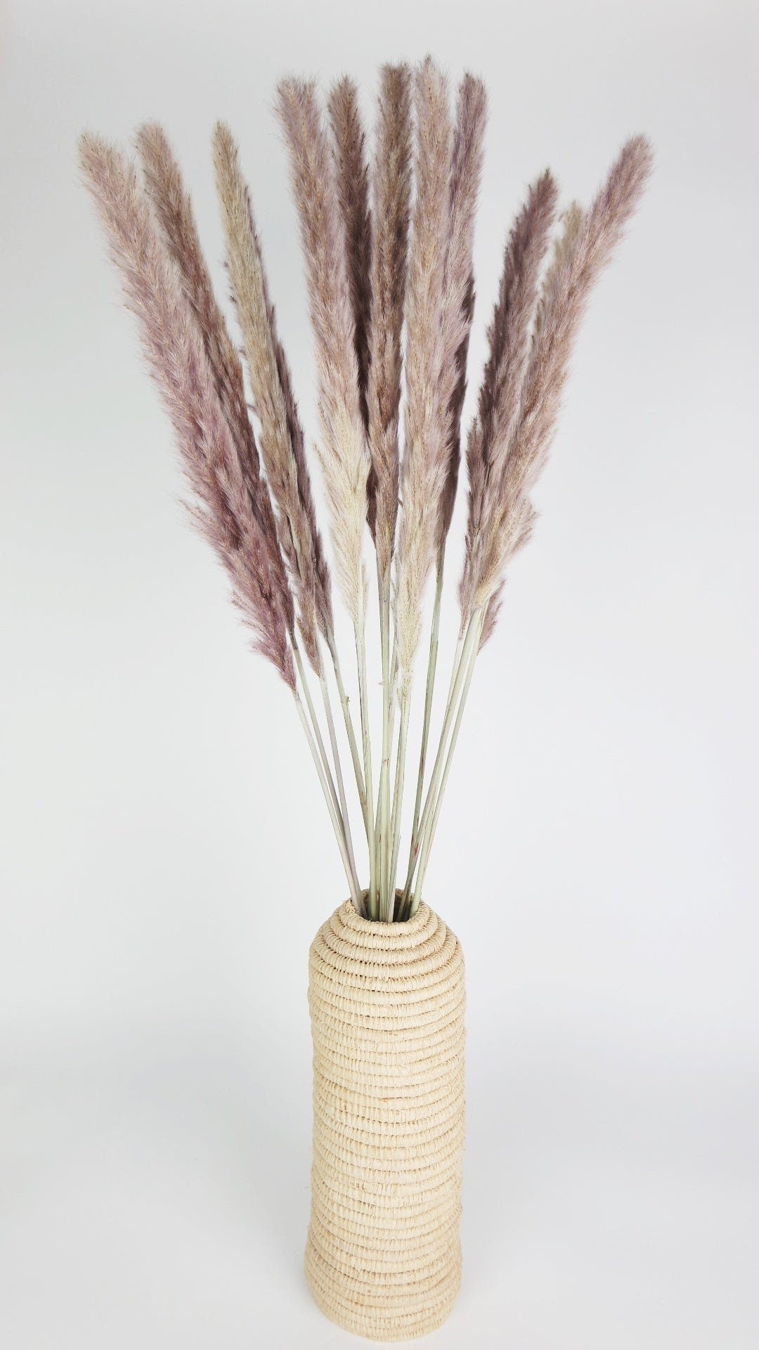x10 stems mini pampas brown natural, mini pampa, silver grass grey taupe