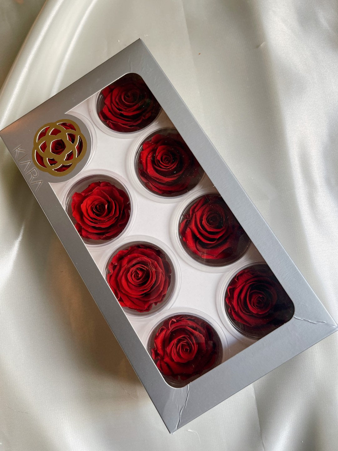 Pack of 8 Preserved Kiara rose Bordeaux red, rose stabilise, decoration de mariage