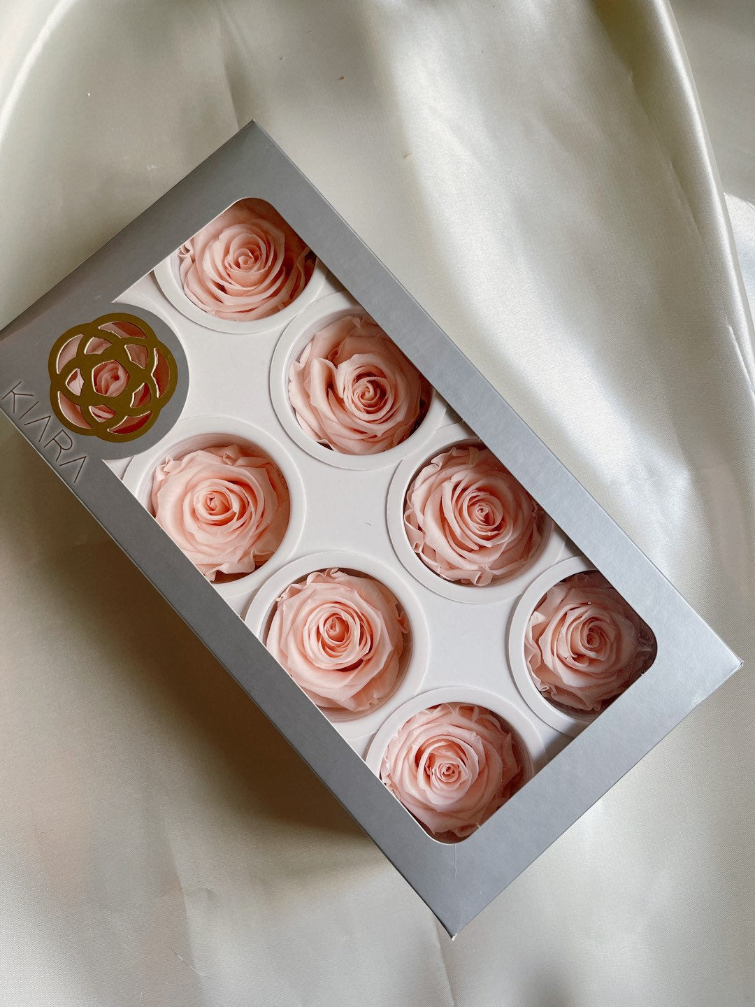 Pack of 8 Preserved Kiara rose pastel rose peche, rose stabilise, decoration de mariage