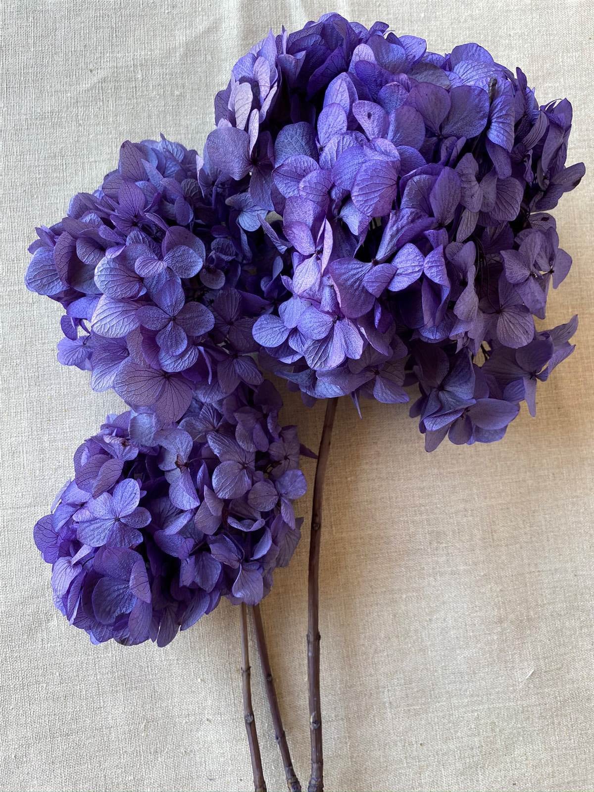 Big petal preserved hydrangea lavender color, Resin/Jewelry DIY, home decoration