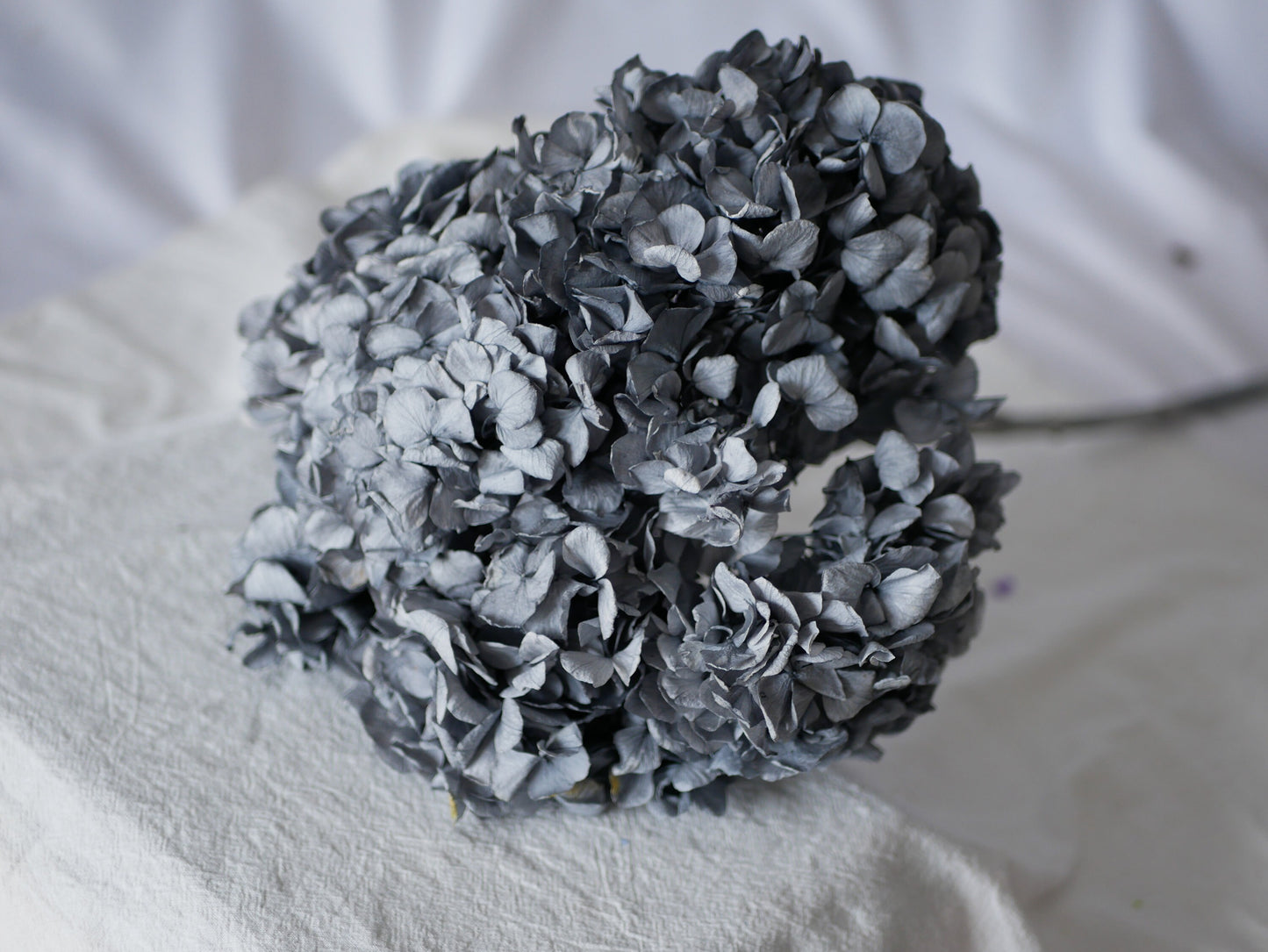 Big petal preserved hydrangea grey; DIY resin, jewelry, home decoration