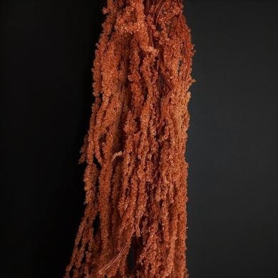 Hanging Amaranthus burnt orange - 6 -7 stems/ Preserved Wedding flower decor Living walls