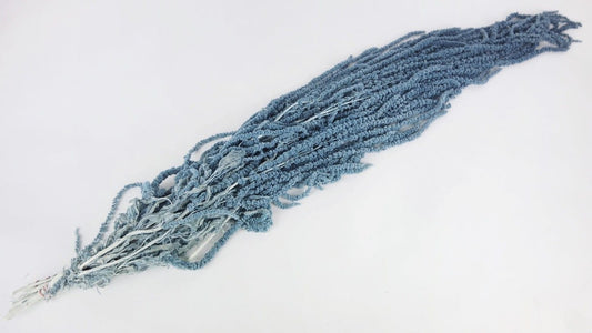 Hanging preserved amaranthus bleu grey hanging plant, wall decor, ceiling decoration