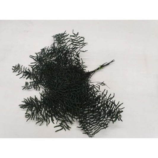 6 stalk bunch Preserved coral fern gold color, dark green color, hanging wall decoration