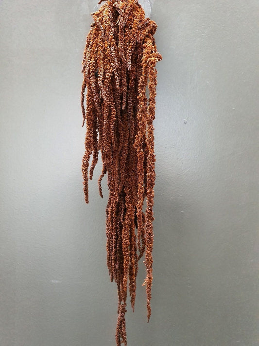 Hanging Amaranthus burnt orange - 6 -7 stems/ Preserved Wedding flower decor Living walls