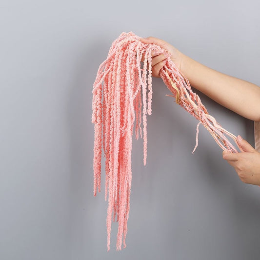 Hanging preserved amaranthus pastel pink ,hanging plant, wall decor, ceiling decoration