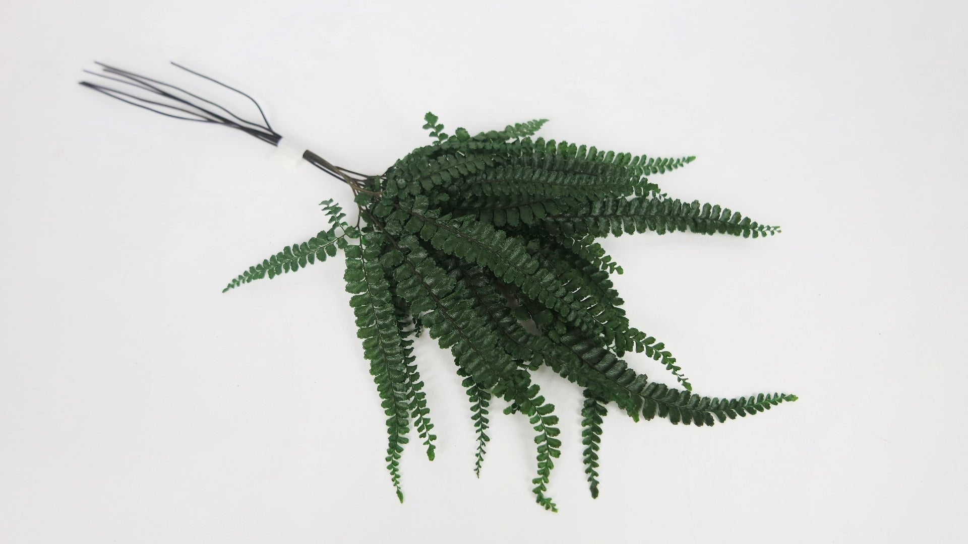 6 mini stems bunch Preserved green felci fern, red felci, hanging wall decoration