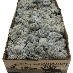 Preserved lichen reindeer moss blue lavender, wall moss DIY tool, wall decoration