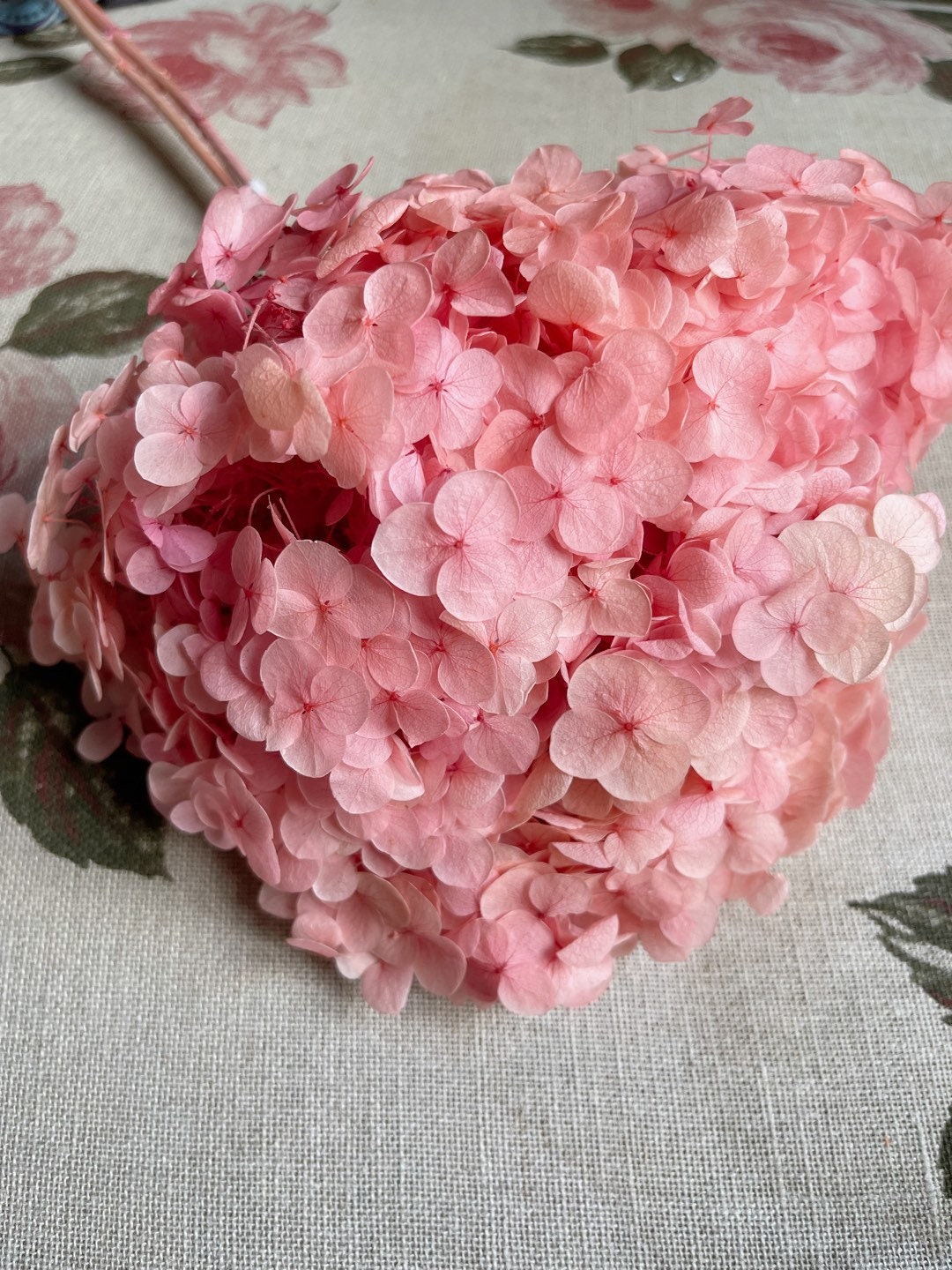 Preserved hydrangea big size D20cm sakura pink, resin diy tool