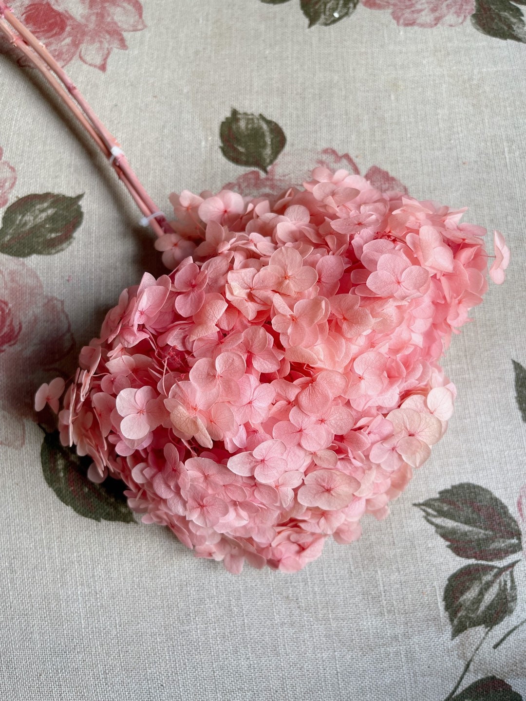 Preserved hydrangea big size D20cm sakura pink, resin diy tool