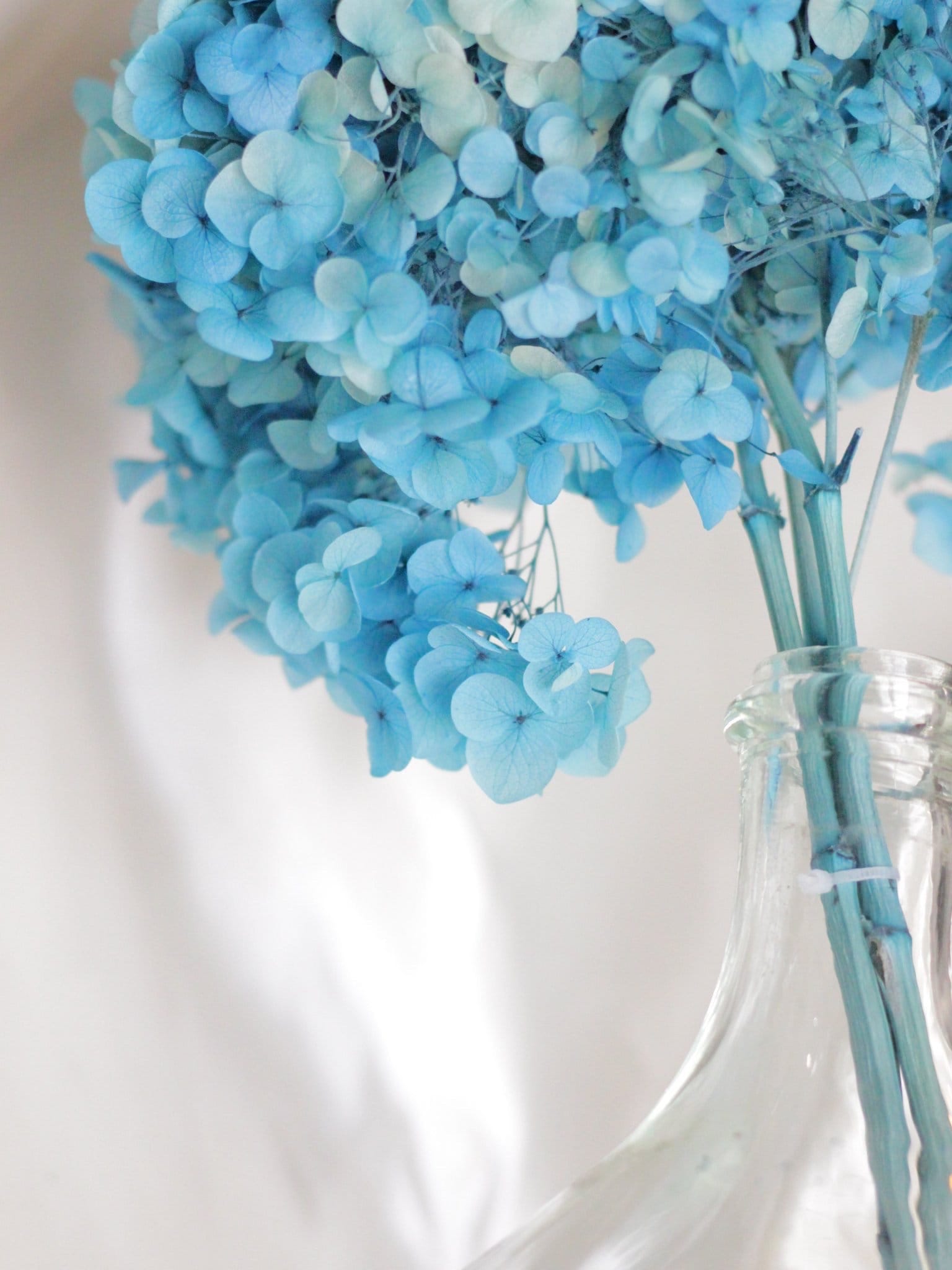 Preserved hydrangea ocean blue, hortensia fleurs stabilisé, resin DIY jewelry