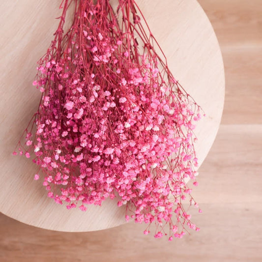 Preserved Baby Breath pink color, Preserved Gypsophila, 100g per bunch, home decoration