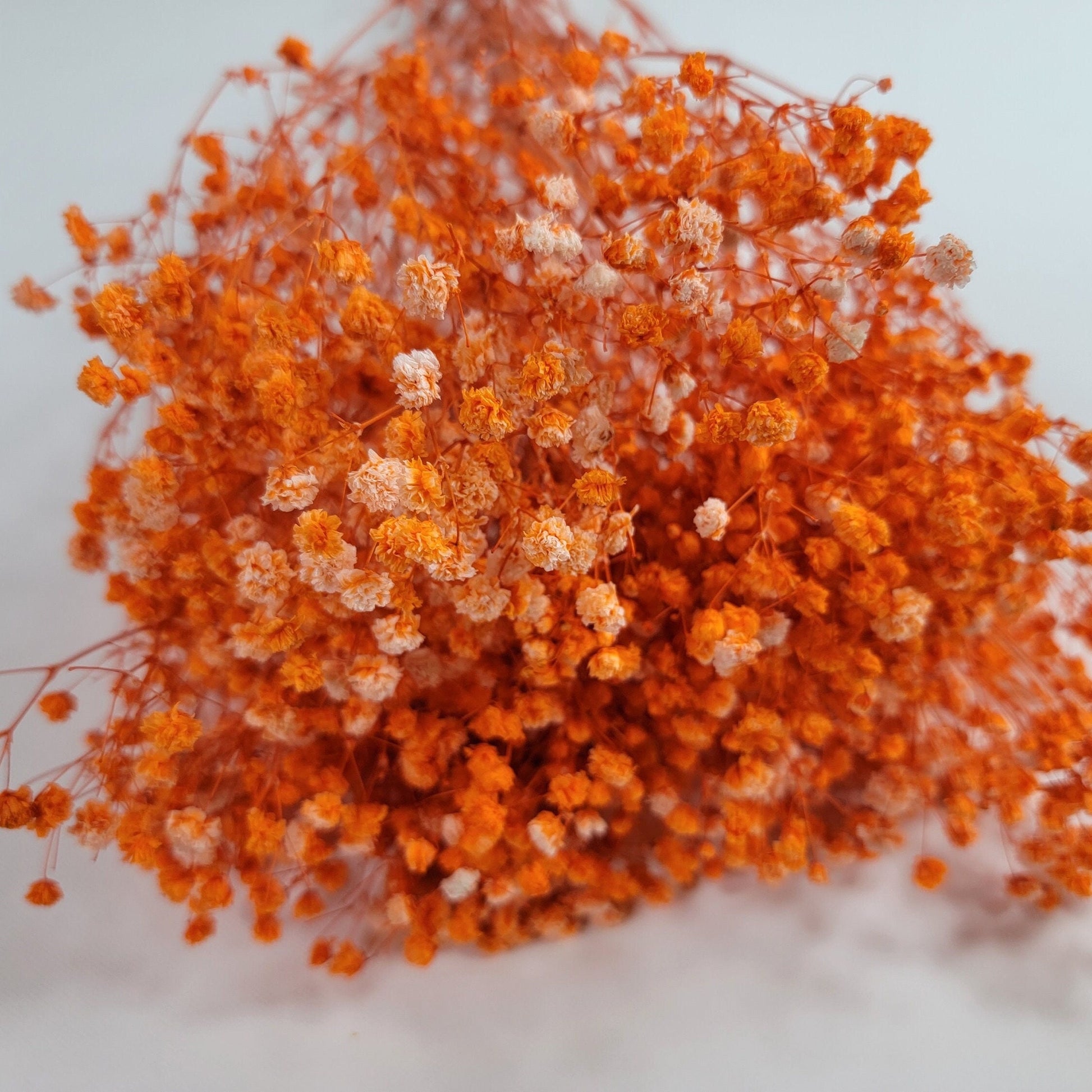 Preserved Baby Breath orange color, Preserved Gypsophila, 100g per bunch, home decoration