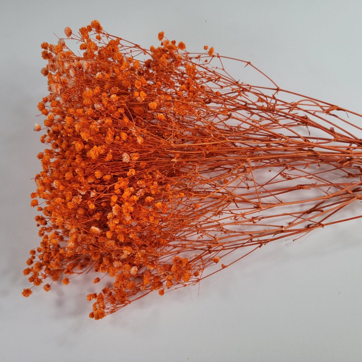 Preserved Baby Breath orange color, Preserved Gypsophila, 100g per bunch, home decoration