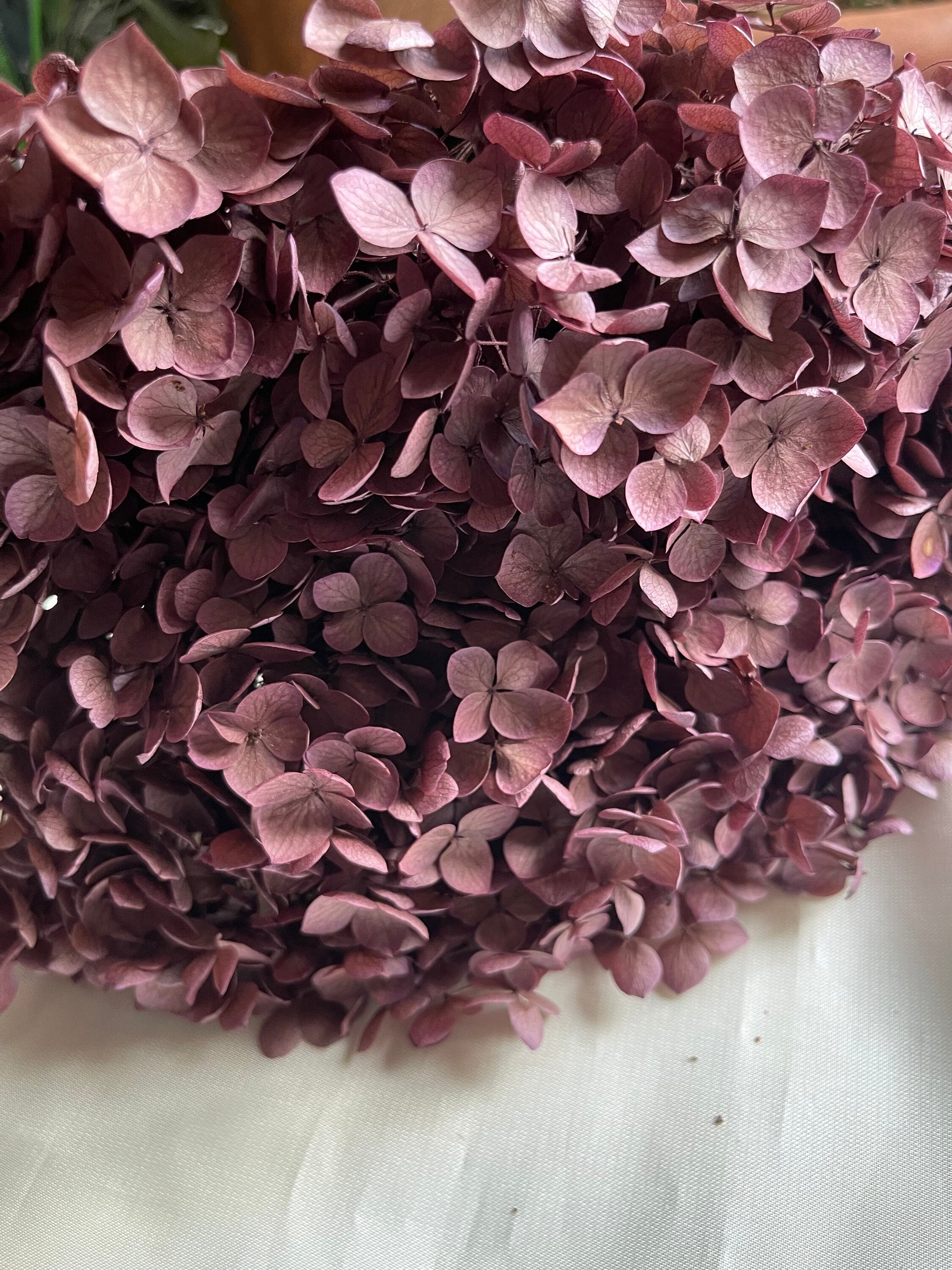 Preserved Hydrangea paniculata, mauve pink Purple 50cm jewelry tool, Resin DIY, home decoration