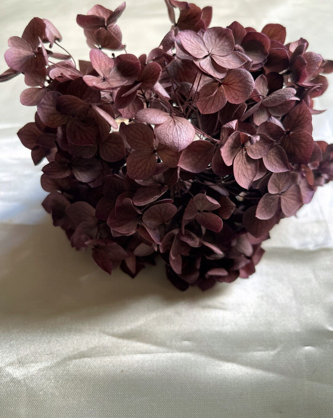 Preserved Hydrangea paniculata, mauve pink Purple 50cm jewelry tool, Resin DIY, home decoration