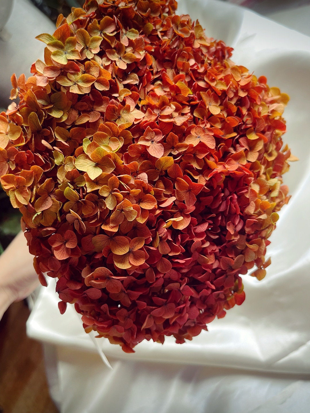 Preserved hydrangea big size 20cm diameter retro Sunset gradient Orange mix yellow color