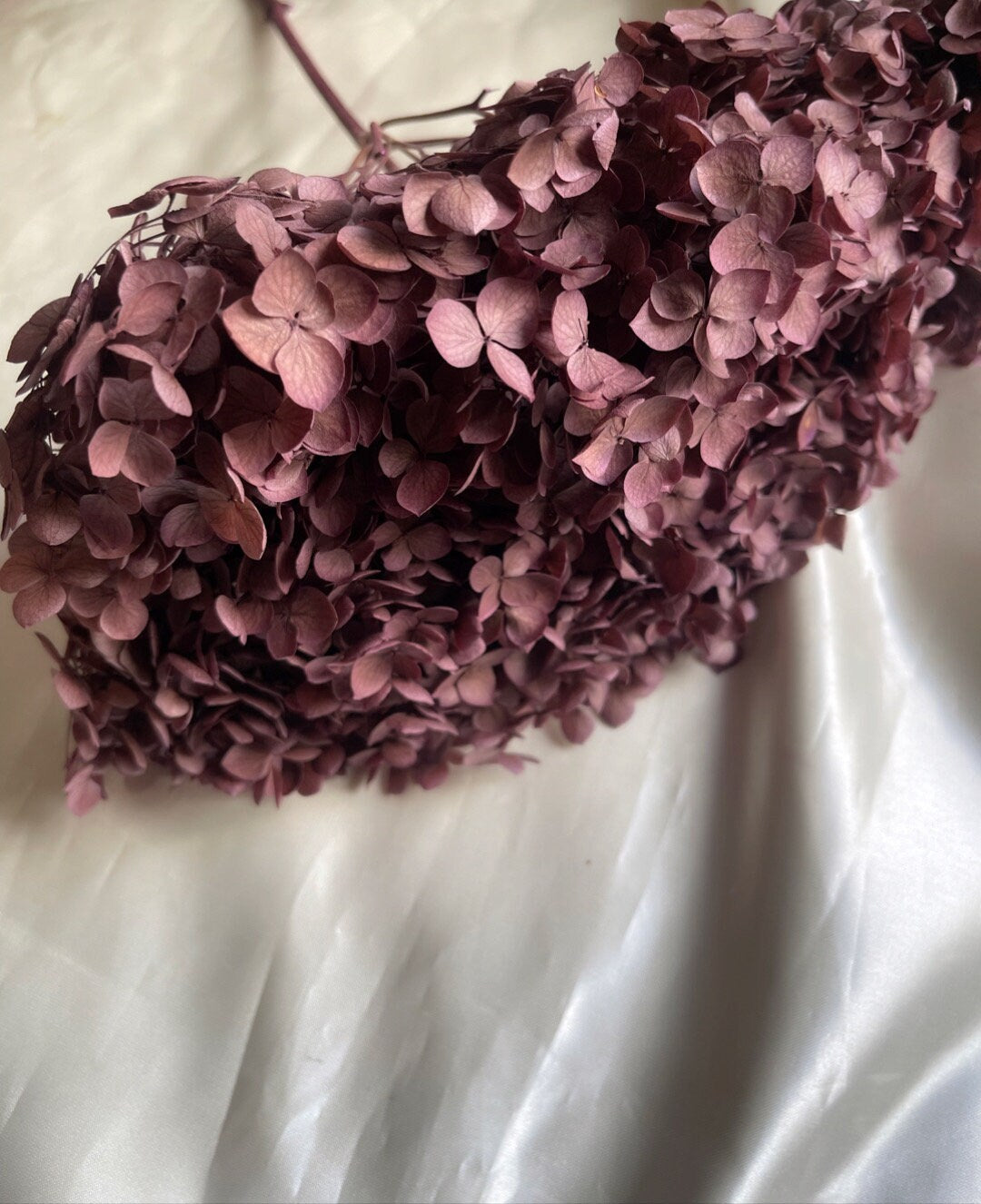 Preserved Hydrangea paniculata, mauve pink Purple 50cm jewelry tool, Resin DIY, home decoration