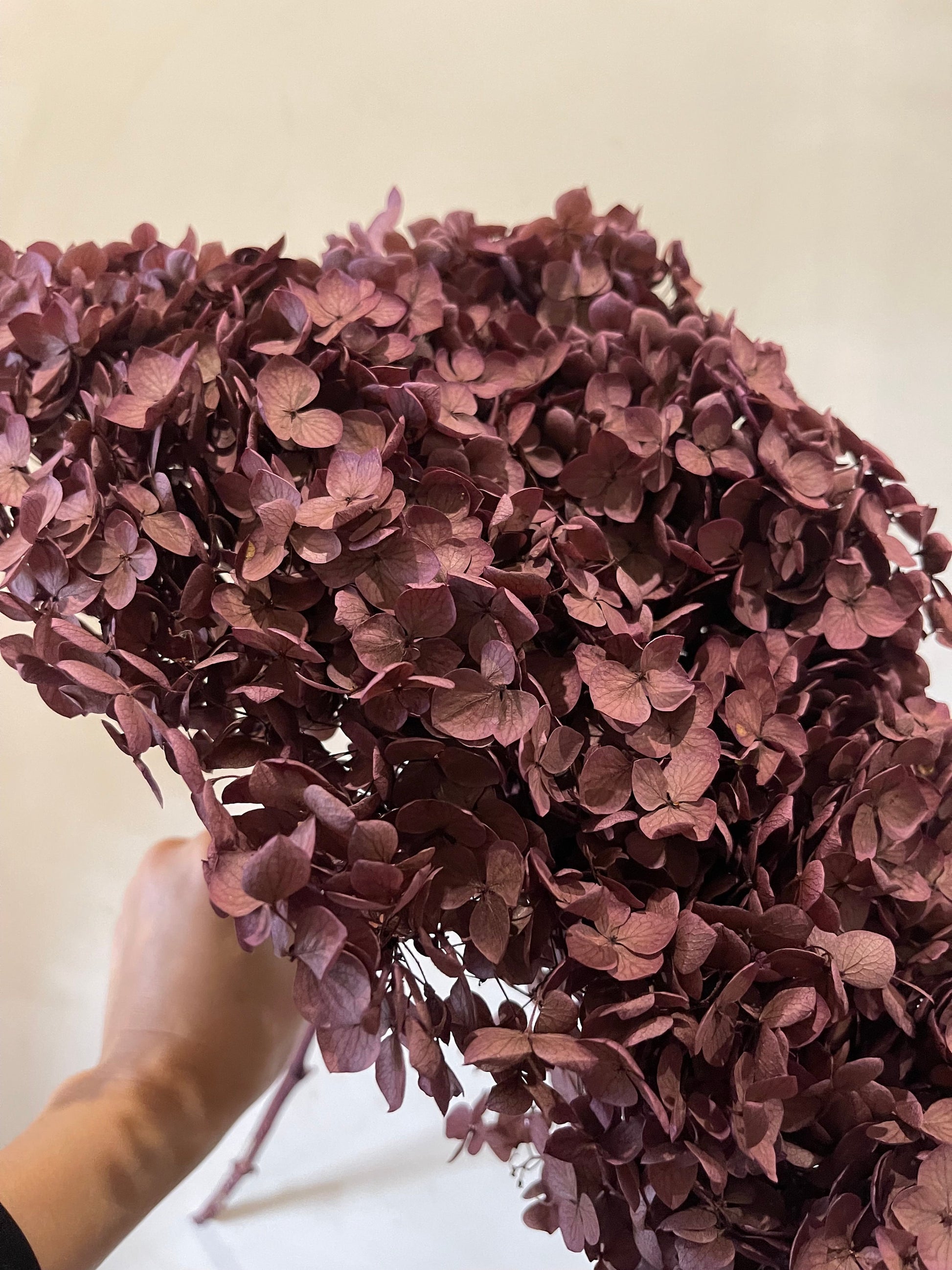 Preserved Hydrangea paniculata, mauve pink Purple 50cm jewelry tool, Resin DIY, home decoration