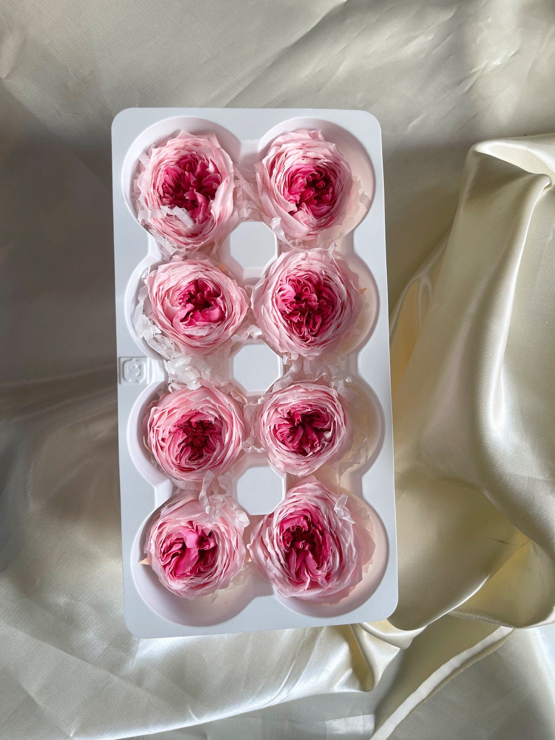 Pack of 8 Preserved rose White pure size L 5-6cm, decoration de mariage, DIY jewelry