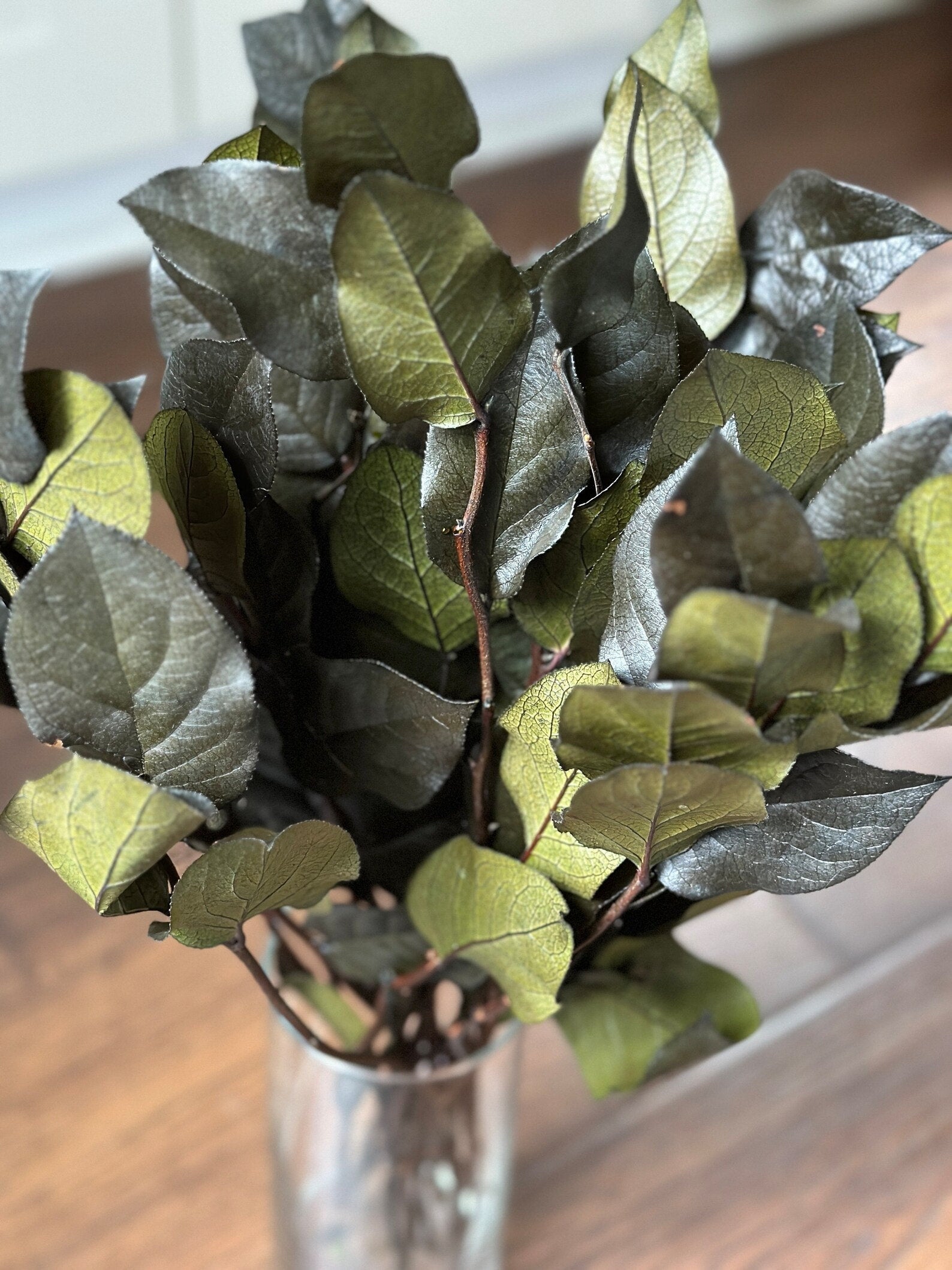 Salal preserved, preserved leave, Preserved Olive Salal, Olive Lemon Leaf